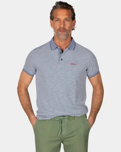 Blue Polo with Modal