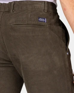 Corduroy dark green chino - Gravel Green