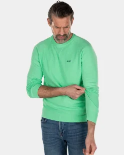 Crewneck cotton plain pullover green - Sea Green