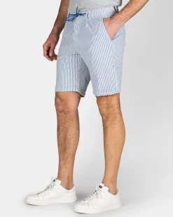 Light Blue Striped Chino Shorts