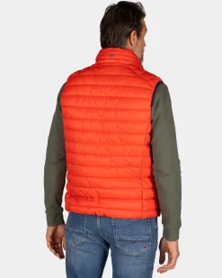 Orange bodywarmer