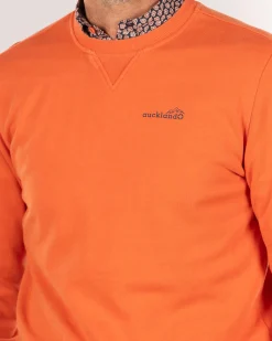 Orange crew neck sweater - Ginger Orange