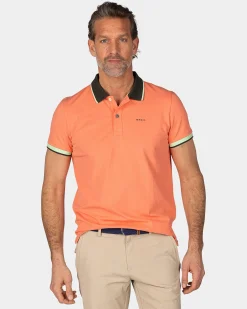 Orange Polo with Blue Collar