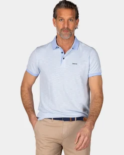 Pastel Blue Polo with Modal