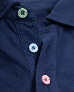 Solid Cotton Blue Polo