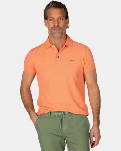 Solid Cotton Coral Polo