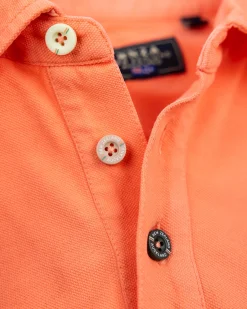 Solid Cotton Coral Polo