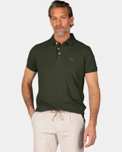Solid Cotton Dark Green Polo
