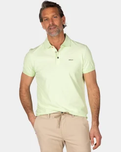 Solid Cotton Mint Green Polo