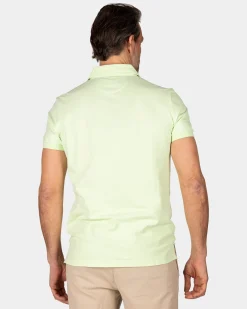 Solid Cotton Mint Green Polo