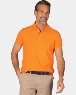 Solid Cotton Orange Polo
